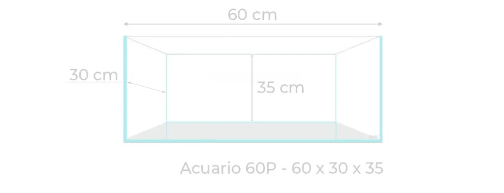 Acuario 60P con medidas de 60 x 30 x 35 ideales para el diseño de un acuario plantado de impacto.