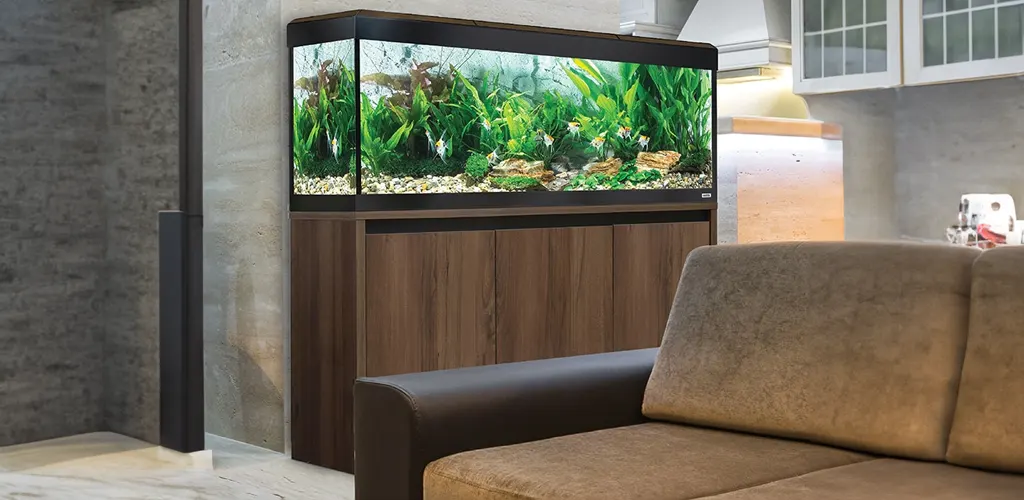 Acuario fluval roma en un salón de diseño moderno