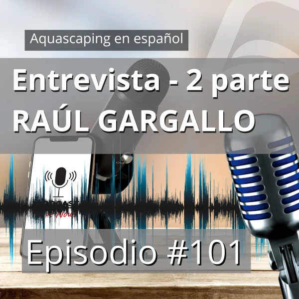 aquascaping en español Segunda parte de la entrevista a Raúl Gargallo