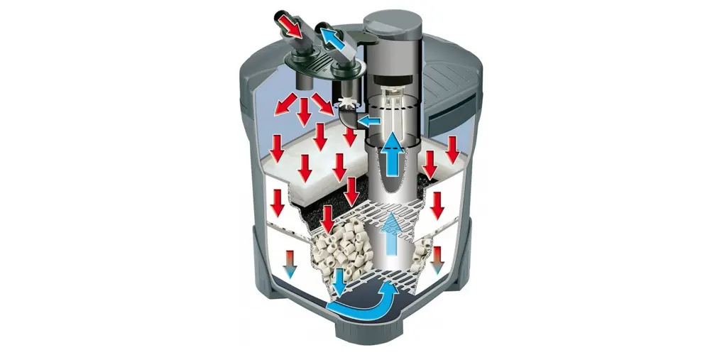 Categoría de filtros para acuarios de agua dulce. Esquema de un filtro.