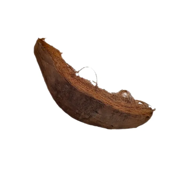 Cascara de coco natural - 1 ud