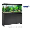 Acuario Fluval Roma 240 litros negro con mesa