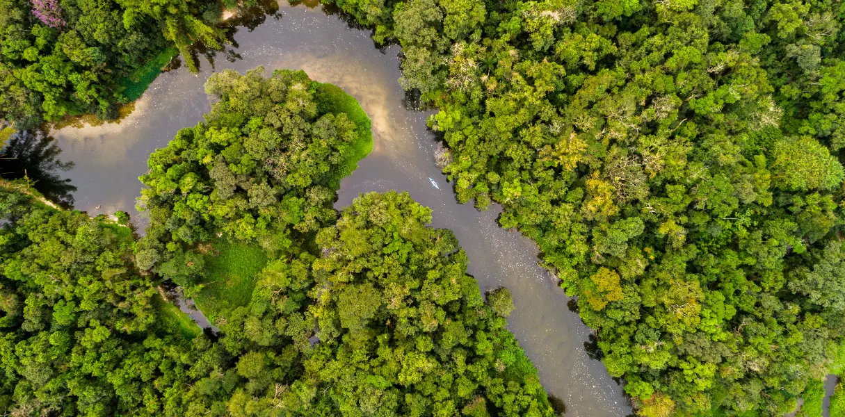 Río Orinoco, vista zenital.