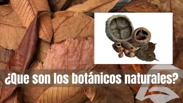¿Qué son los botánicos naturales? en este artículo del blog de nascapers.es te lo explicamos en detalle.