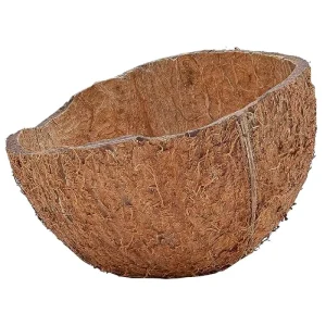 cascara de coco natural al mejor precio en NAscapers