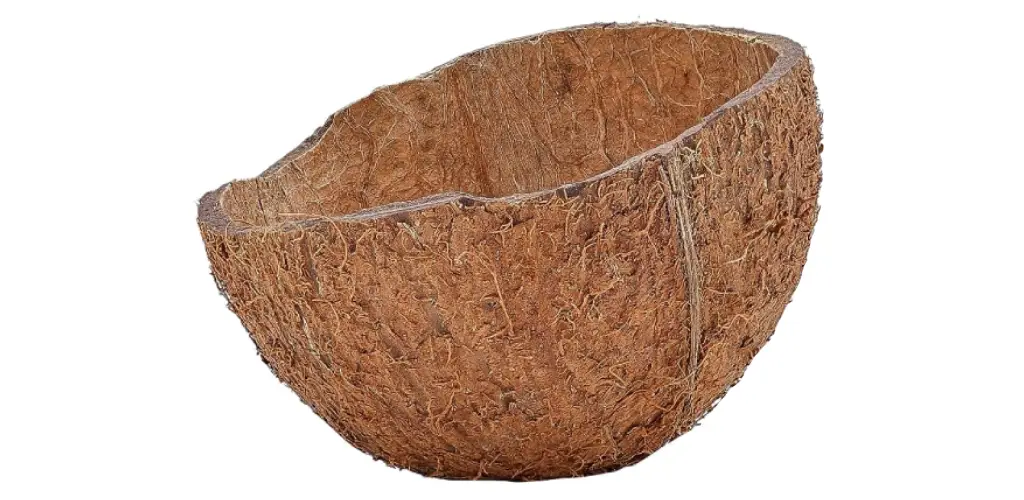 cascara de coco natural al mejor precio en NAscapers 