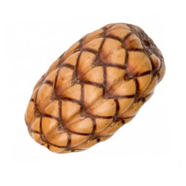Coco Orinocensis - Pack 2