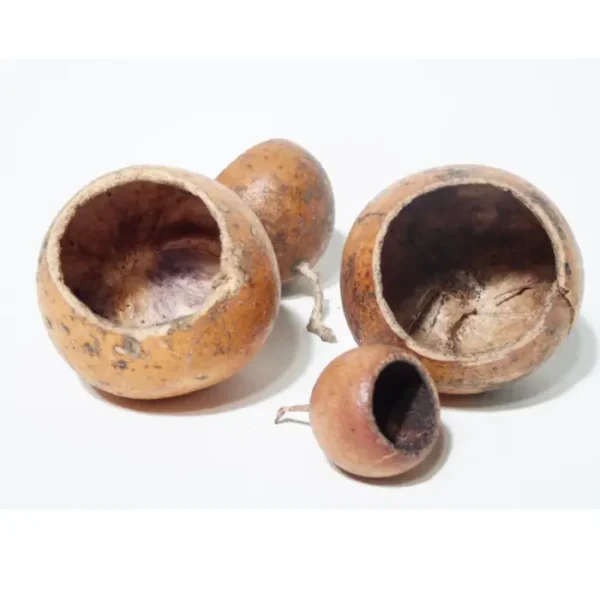 Fruto Kuchipal - Pack 3