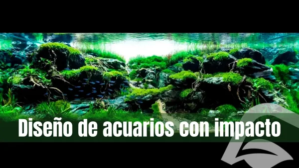 Artículo del blog sobre cómo diseñar un acuario plantado con impacto visual