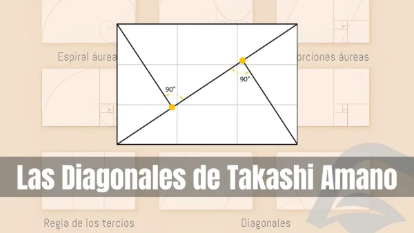 Artículo sobre el diseño de acuarios plantados mediante el estilo de líneas diagonales establecido por TAKASHI AMANO.