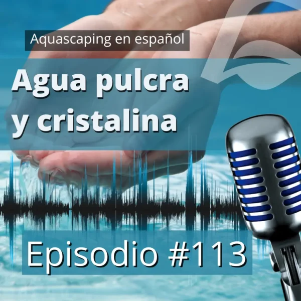aquascaping en español Episodio 113 pódcast cómo conseguir que el agua del acuario esté pulcra y cristalina