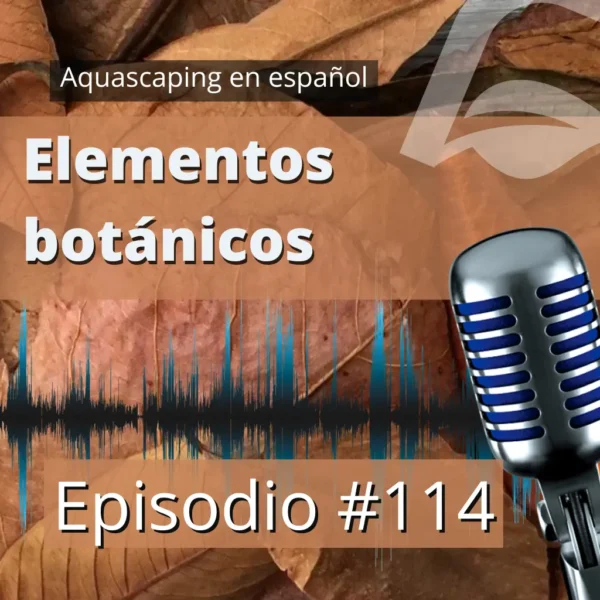 Pódcast Aquascaping en Español. Elementos decorativos botánicos.