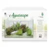 kIT Aquascape Basic 8 L de ICA