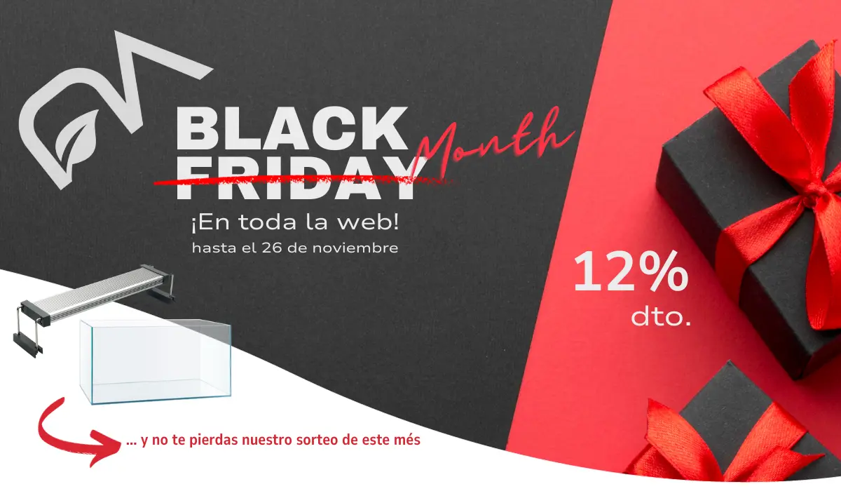 descuento black friday 2023 en nascapers.es