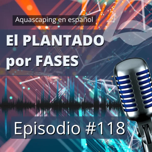 aquascaping en español aquascaping en español
