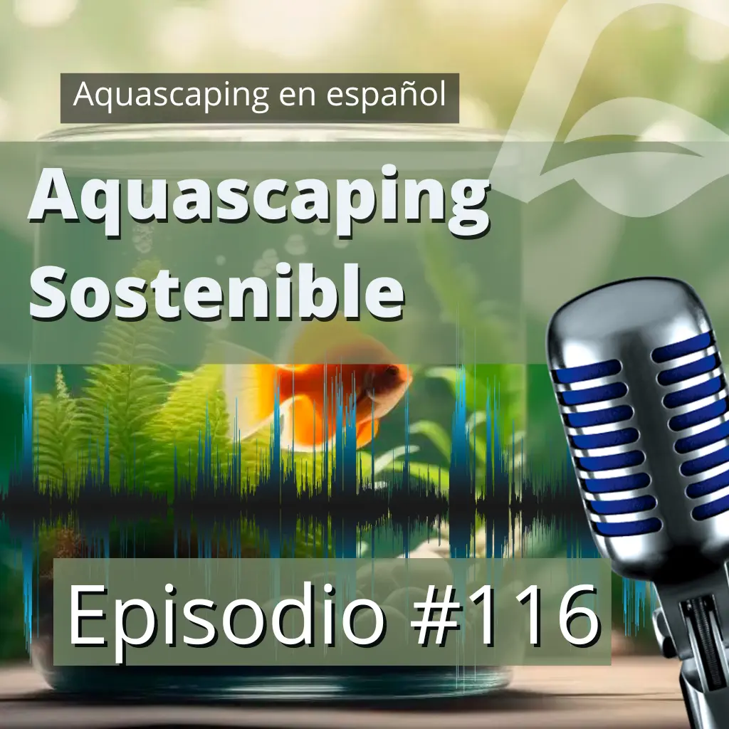Episodio #116: Aquascaping consciente, más responsable y sostenible