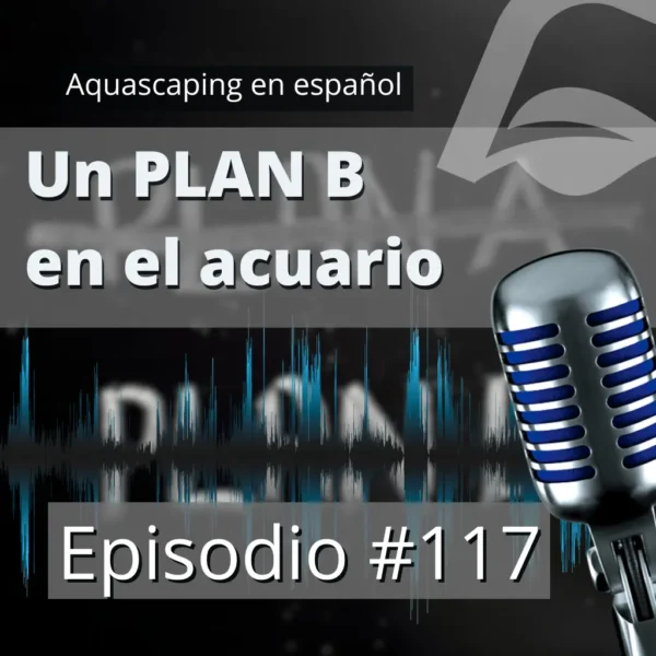 aquascaping en español La importancia de tener un plan B en el acuario