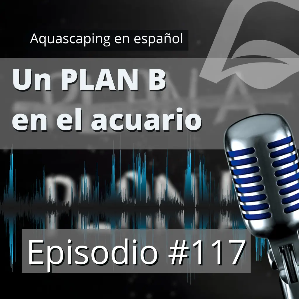 Episodio #117: La importancia de tener un PLAN B