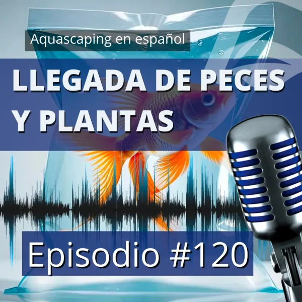 llegada de peces y plantas a nascapers.es