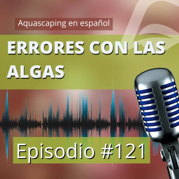 aquascaping en español Errores con las algas en el acuario plantado