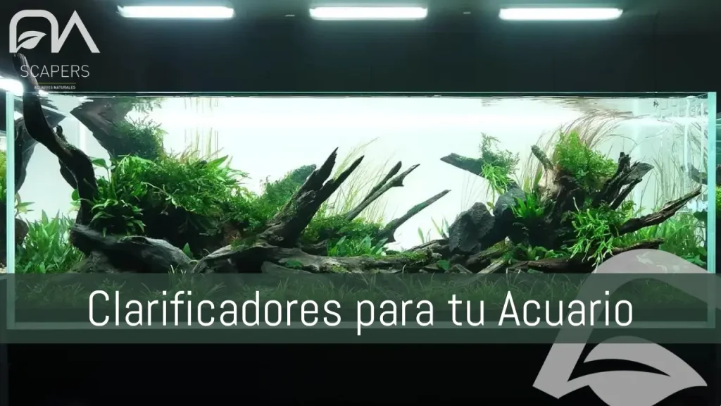 Uso de clarificadores en tu acuario plantado