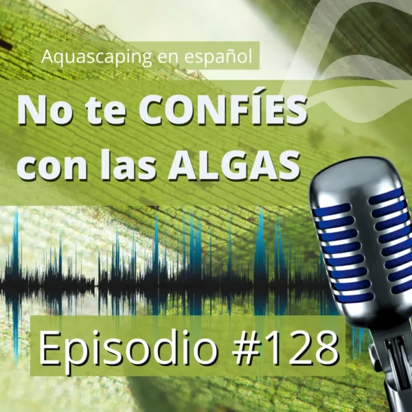 aquascaping en español Evitar problemas con las algas en el acuario