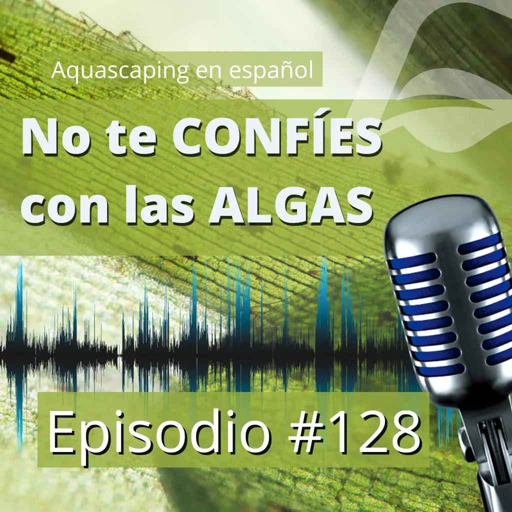 Episodio #128: El desafío de las algas en el acuario ¿Tienes problemas?