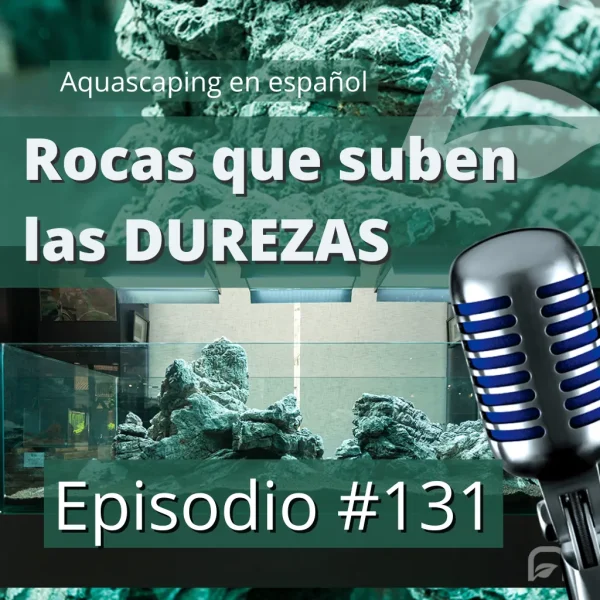 Rocas que suben las durezas en el acuario plantado