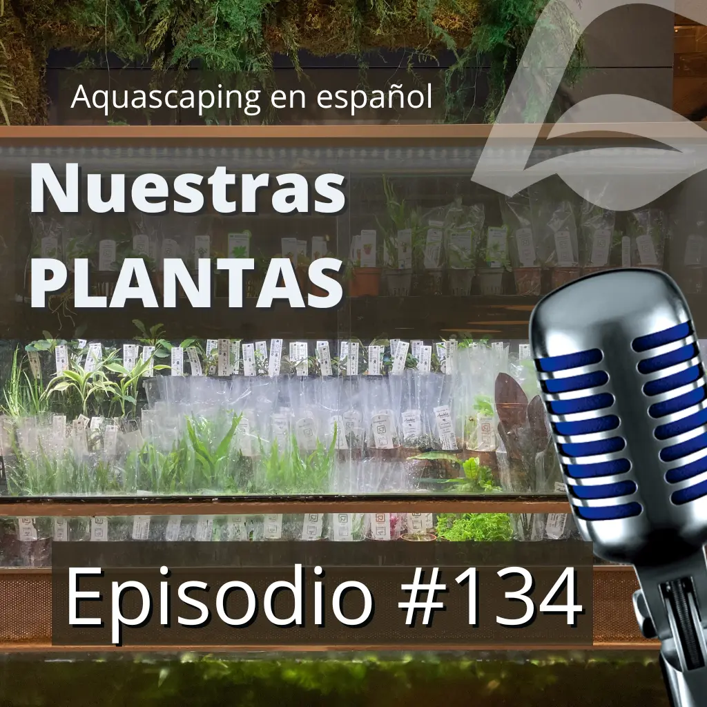 Episodio #134: Nuestras Plantas de acuario | Viveros, calidad, manipulación y plantado