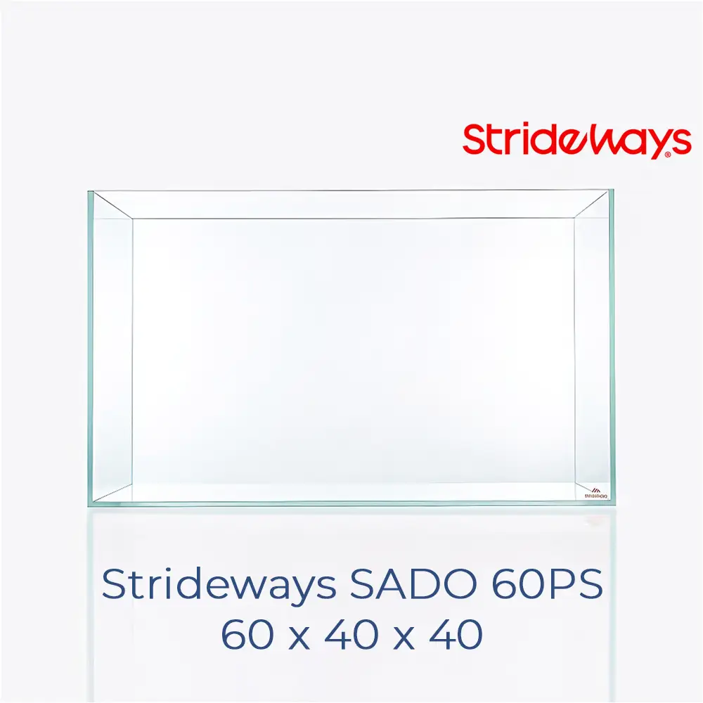 Acuario de cristal óptico strideways sado 60 PS de 60x40x40 cm.