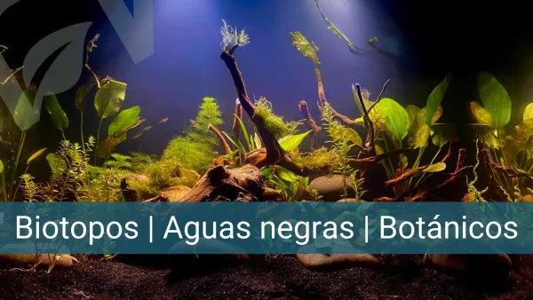 Bitopos, aguas negras y método botánico