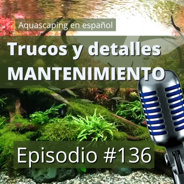 Trucos y detalles para el mantenimiento semanal del acuario