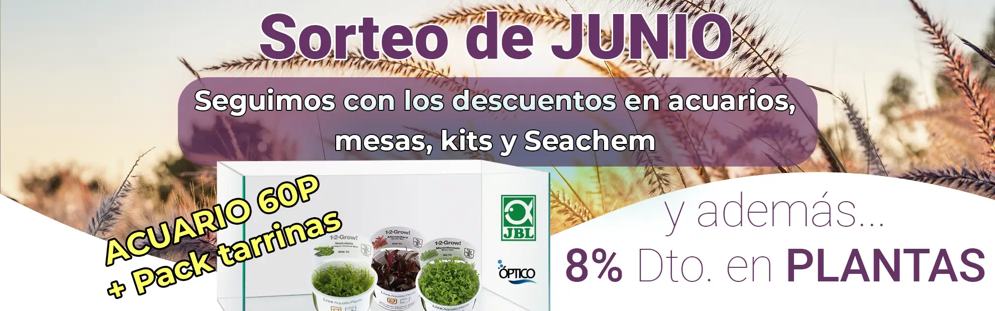 sorteo mes de junio 2024