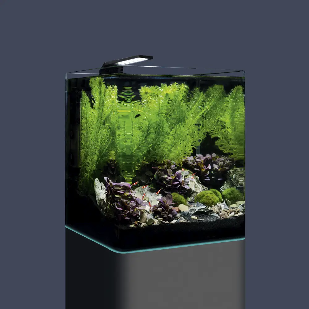 Dennerle Nano Cube Complete 20