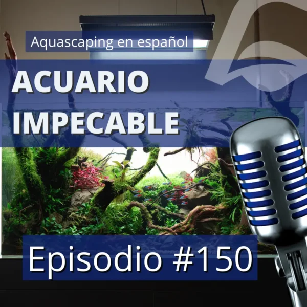 aquascaping en español acuario impecable nascapers
