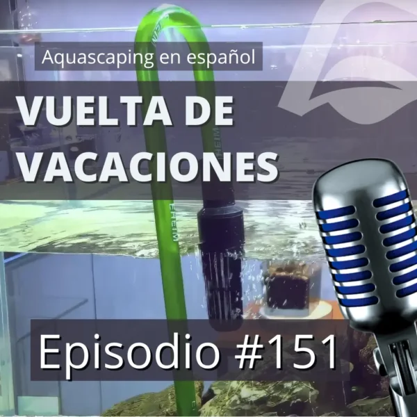 aquascaping en español aquascaping en español