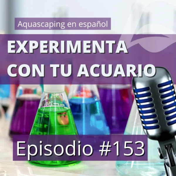 aquascaping en español podcast 153 experimento con tu acuario