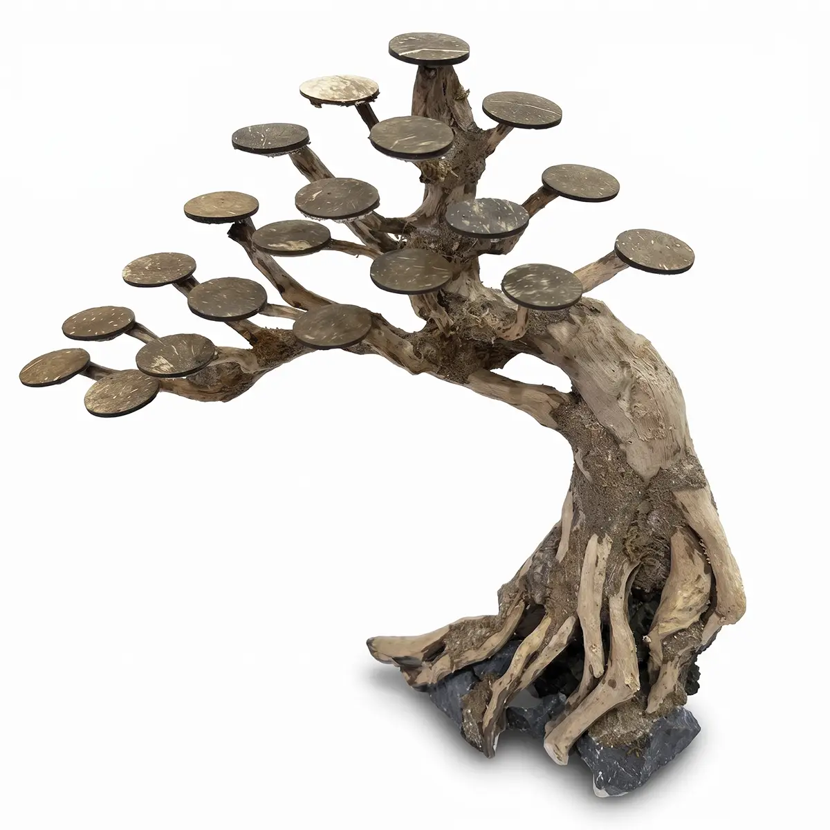 Bonsai Kyoto M copa lateral nascapers.es