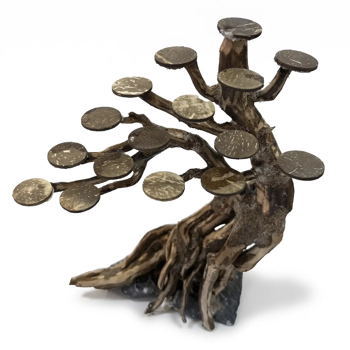 Bonsai Kyoto S copa lateral nascapers.es