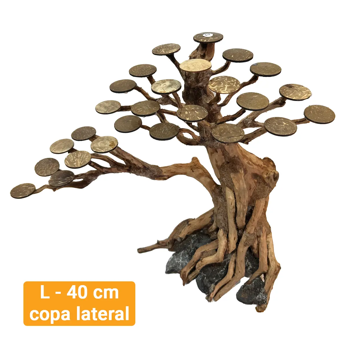 Rasamala Tamaño L de 40 cm Copa Lateral