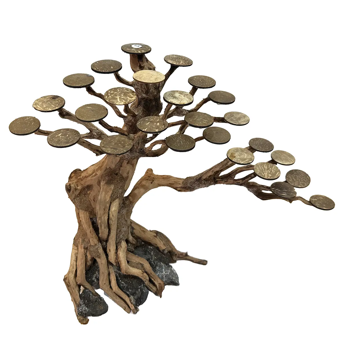 Rasamala Tamaño L de 40 cm Copa Lateral