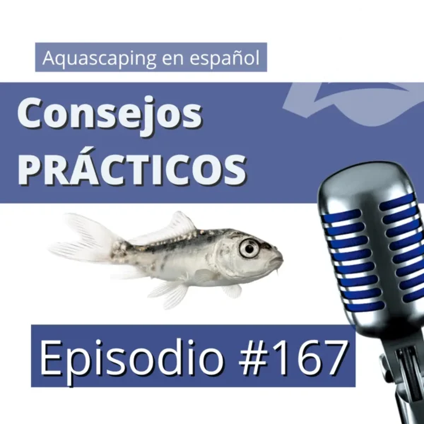 Consejos prácticos para tu acuario