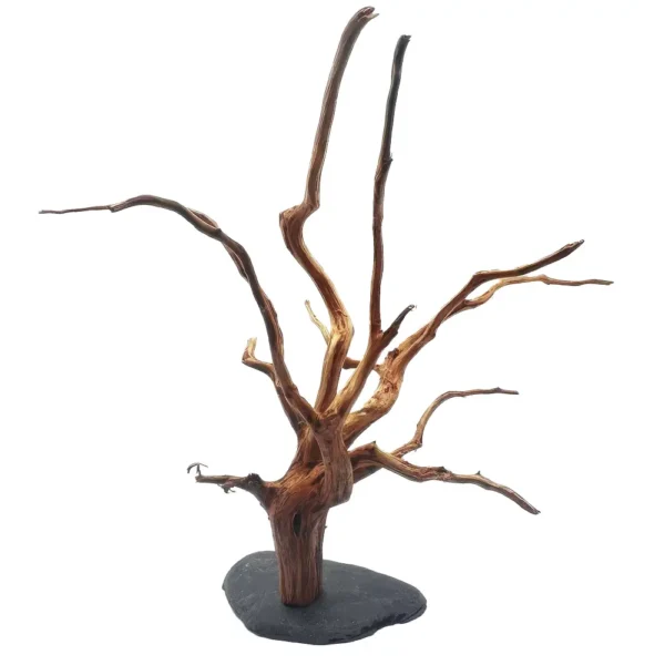 Madera Rasamala Compact M