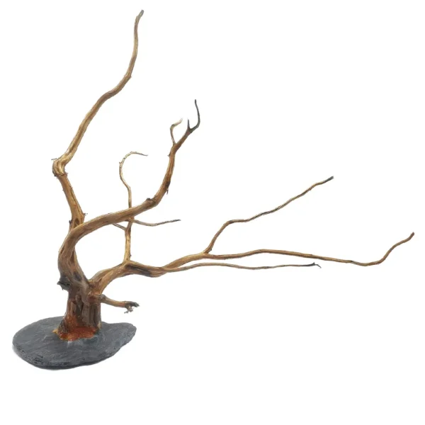 Madera Rasamala Compact S