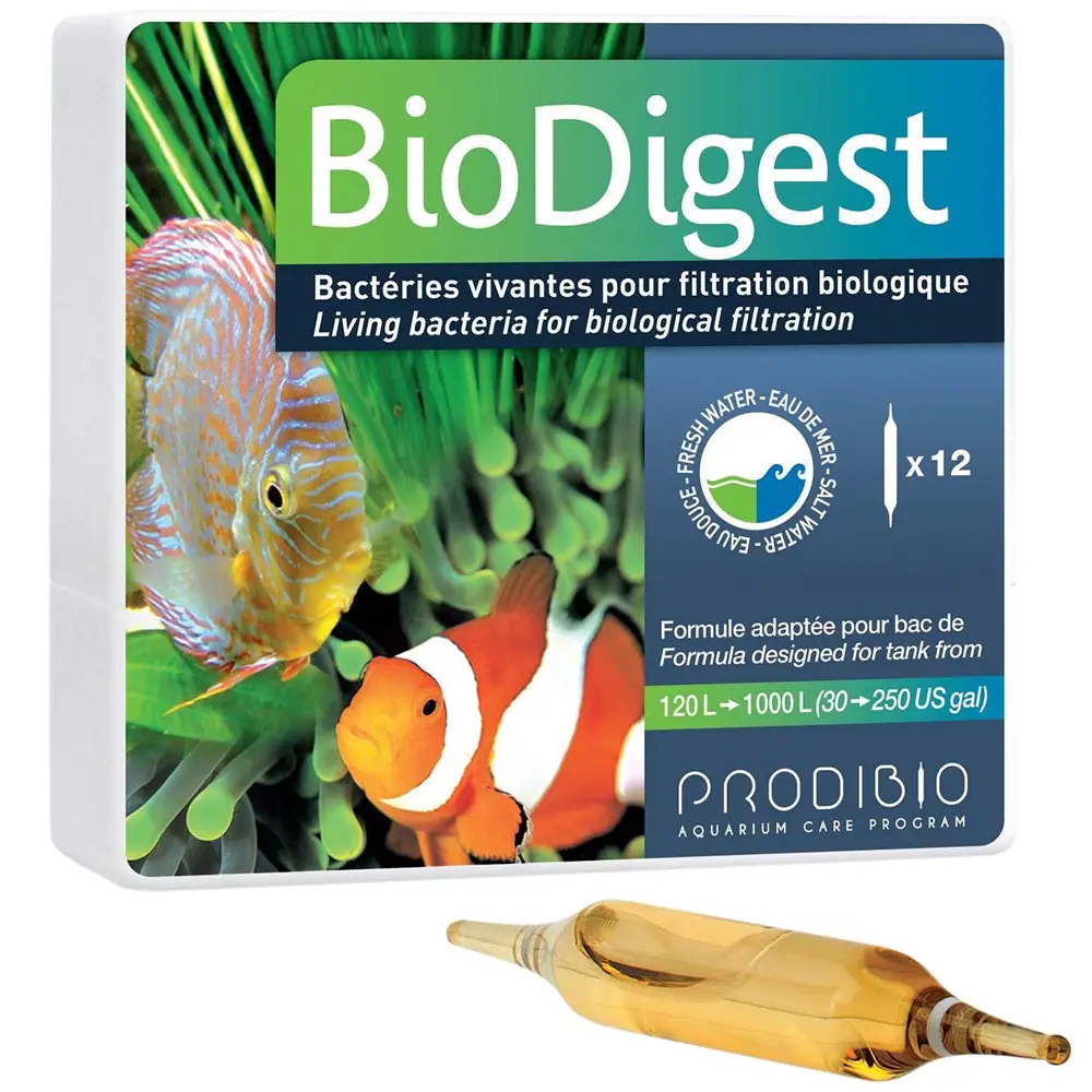 Bacterias para tu acuario