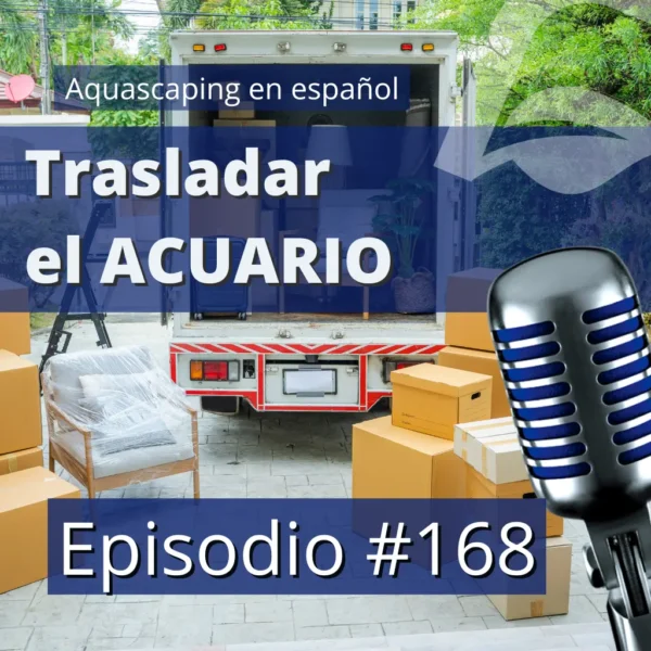 aquascaping en español aquascaping en español