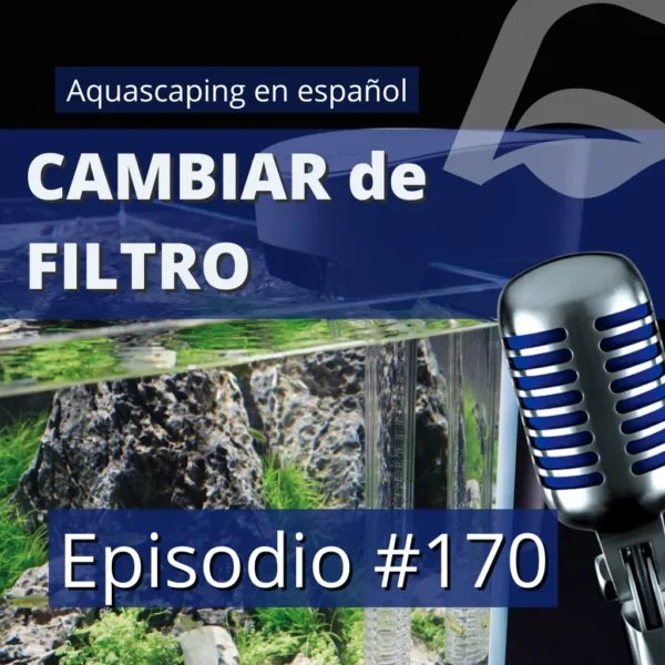aquascaping en español Cambiar un filtro antiguo por el NUEVO