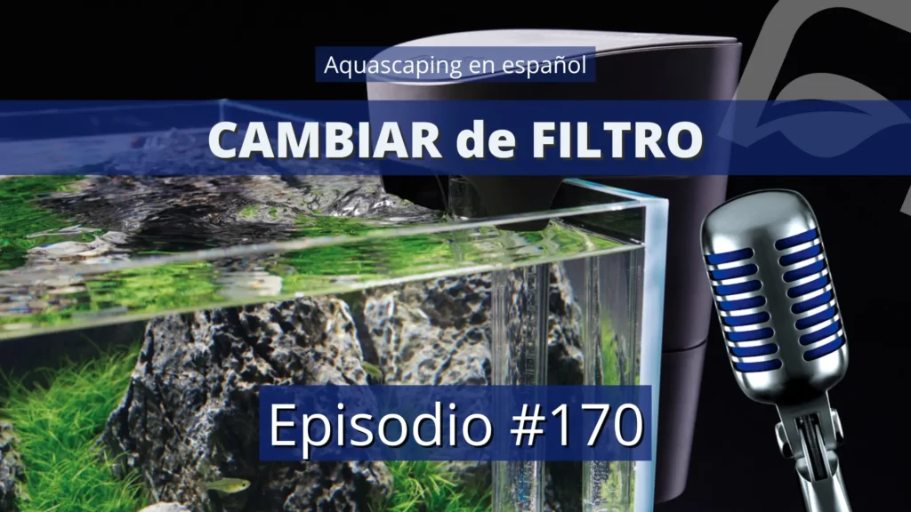 Cambiar el filtro viejo por uno nuevo