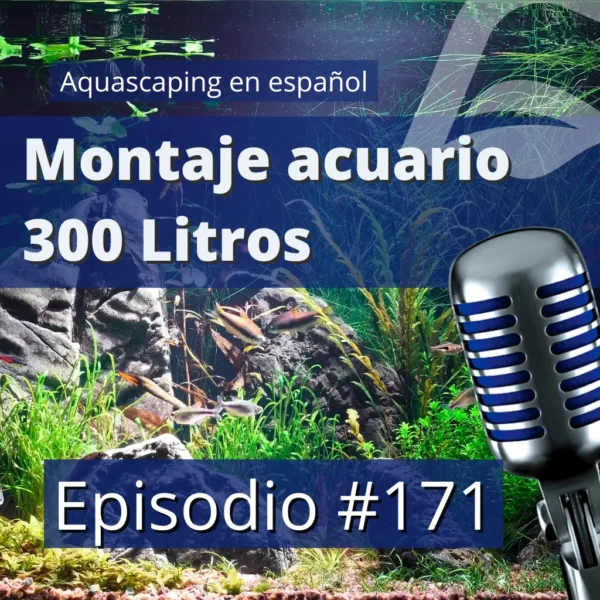 Montaje de un acuario de 300 litros