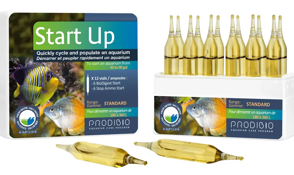 Prodibio Start Up